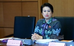 Bà Phan Thị Mỹ Thanh xin thôi làm nhiệm vụ đại biểu Quốc hội