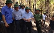 Trưởng Ban Tổ chức Trung ương Phạm Minh Chính thị sát khu vực cháy rừng ở Hà Tĩnh