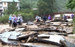 vua dut mua dong nang nong quay tro lai mien bac