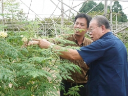 bac nong dan 73 tuoi dap xe tron vo con di chu du the gioi