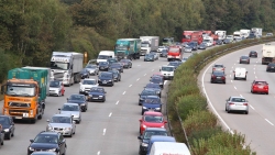 Tài xế Việt sang Đức "khóc thét" khi được cầm vô lăng