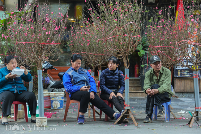 anh cho hoa truyen thong lau doi nhat ha noi e am nhung ngay can tet