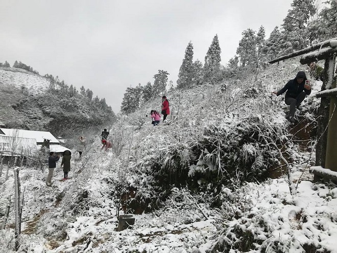 tuyet roi phu trang nui doi sa pa nhu hoa troi au