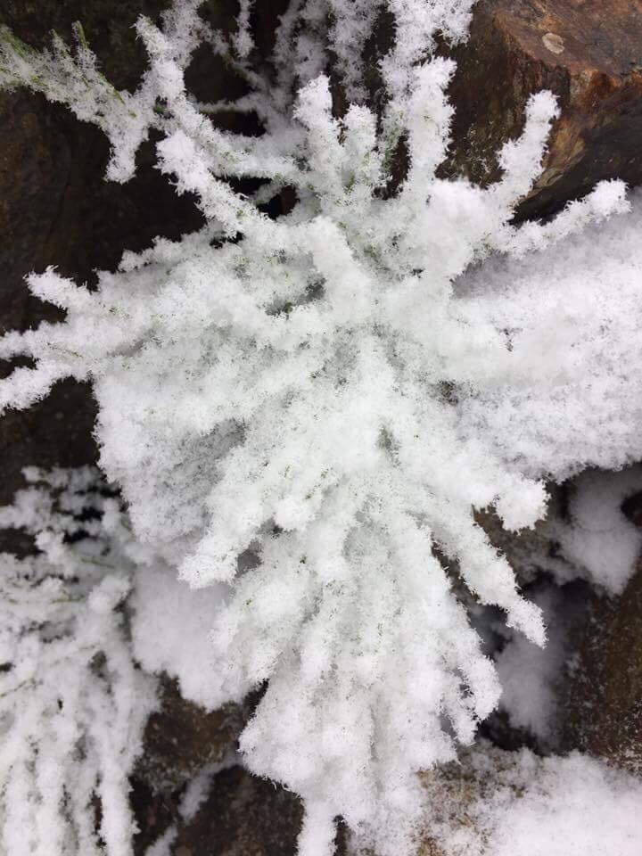 tuyet roi phu trang nui doi sa pa nhu hoa troi au