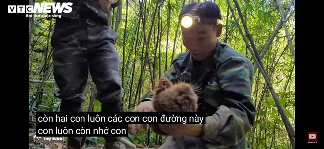 Xác minh nhóm thanh niên vào rừng quay clip săn bắt dúi tự nhiên - 2