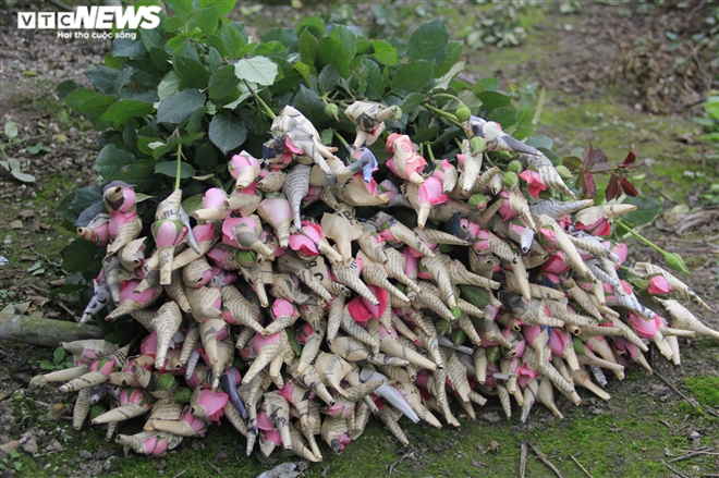 Làng hoa Tây Tựu vắng chưa từng thấy ngày giáp Tết, khách thưa thớt - 11