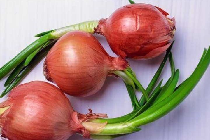 Gừng, tỏi, khoai mọc mầm có nên ăn không? - 3