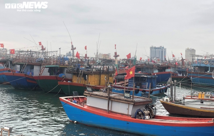 Ngư dân trong 'cơn bão' giá dầu: 'Ra khơi có còn lời lãi được đồng nào không' - 3