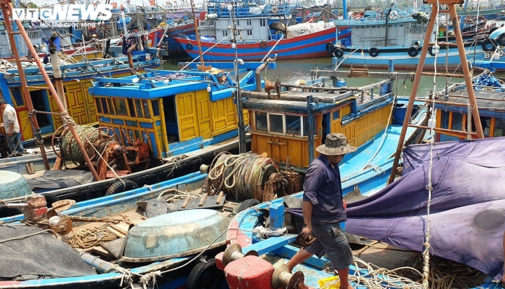 Ngư dân trong 'cơn bão' giá dầu: 'Ra khơi có còn lời lãi được đồng nào không' - 1