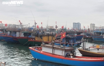 Ngư dân trong "cơn bão" giá dầu: "Ra khơi có còn lời lãi được đồng nào không"