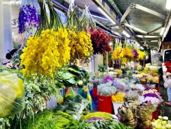 Chợ hoa lớn nhất TP.HCM 
