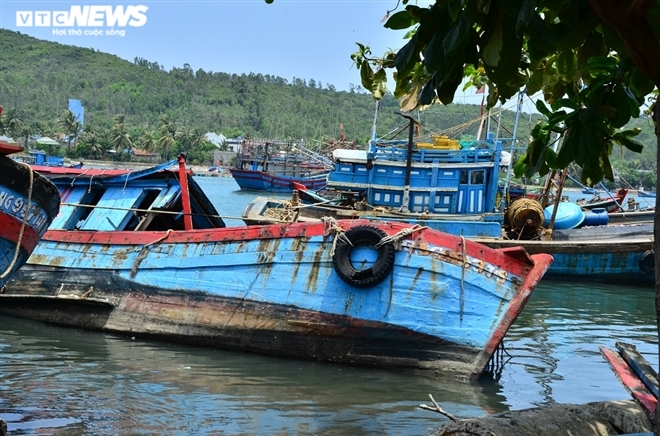 Luồng lạch bị bồi lấp, tàu của ngư dân 'chôn chân' tại cảng Sa Huỳnh - 2