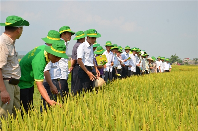 Tuổi 18 PVFCCo: Mùa hoa đẹp nhất - 2