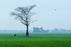 mu cang chai lot vao top dia diem sac mau nhat the gioi