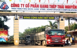 Gang thép Thái Nguyên nguy cơ phá sản