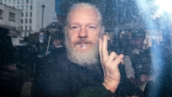 ong chu wikileaks gio tay chu v khi ra toa o london