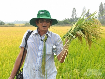 "Cha đẻ" gạo ST25 Hồ Quang Cua: Gạo được đăng ký thương hiệu ở Mỹ là điều tốt