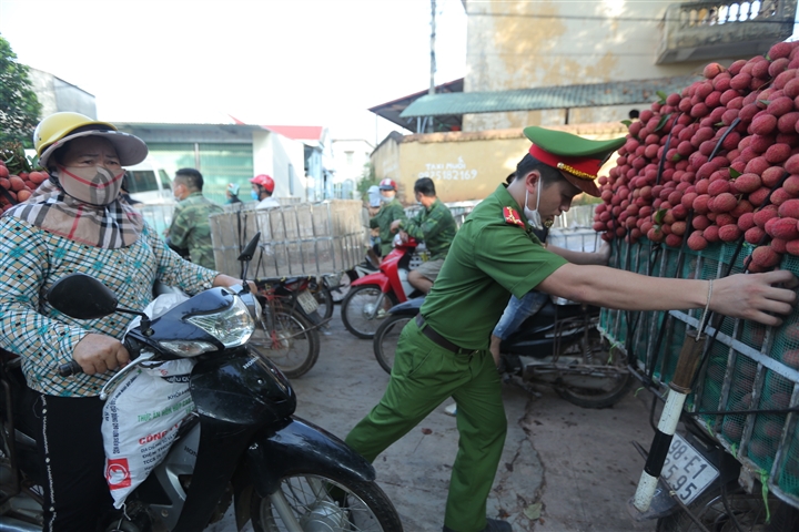 Ảnh: Ấn tượng hàng dài xe chở vải nối đuôi nhau đến điểm thu mua ở Bắc Giang - 9