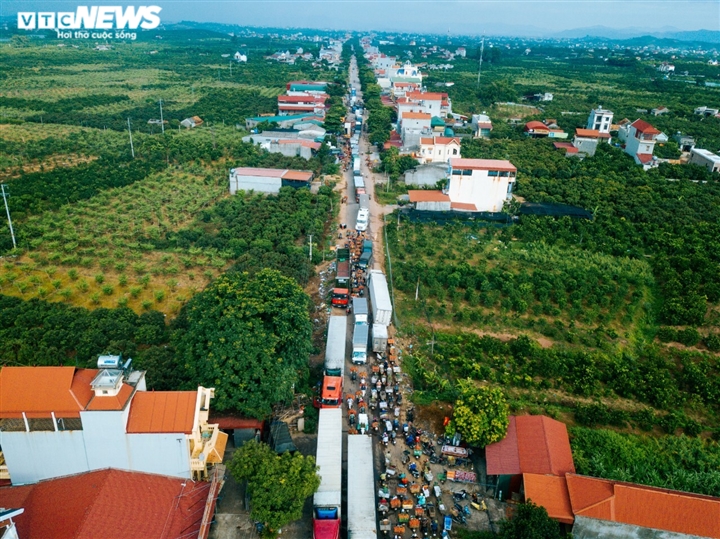 Ảnh: Ấn tượng hàng dài xe chở vải nối đuôi nhau đến điểm thu mua ở Bắc Giang - 3