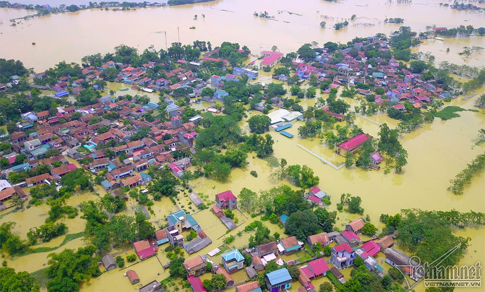 nong dan ha noi bo pho nhin nha hon 800 trieu ngap trong bien nuoc