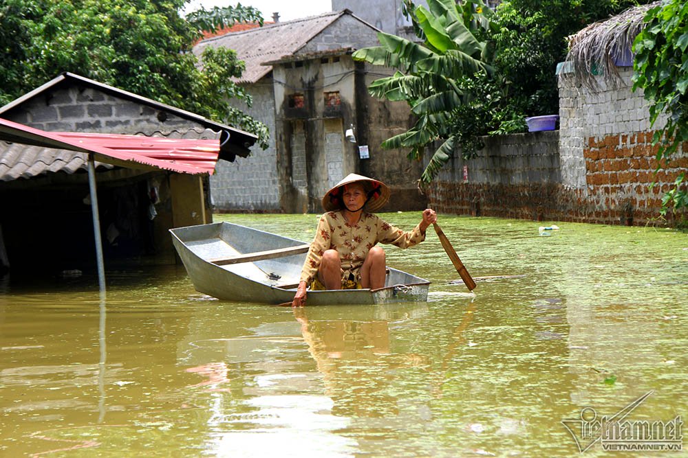 nong dan ha noi bo pho nhin nha hon 800 trieu ngap trong bien nuoc