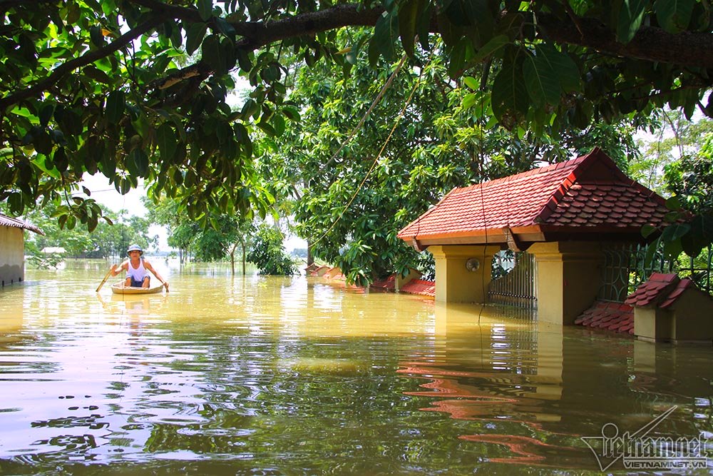 nong dan ha noi bo pho nhin nha hon 800 trieu ngap trong bien nuoc