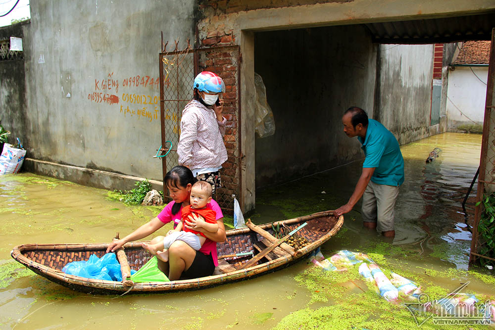 nong dan ha noi bo pho nhin nha hon 800 trieu ngap trong bien nuoc