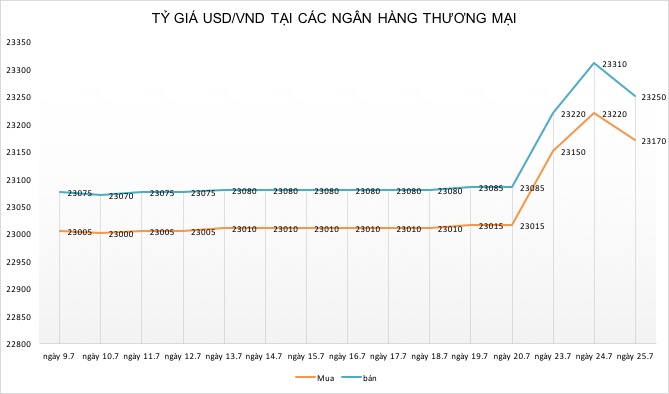 ndt mat gia 8 viet nam co nen chu dong pha gia vnd