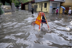 ha noi vua mua to khap nga duong ngap sau