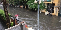 ha noi vua mua to khap nga duong ngap sau cay do chan pho