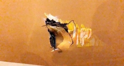 Máy bay của Vietnam Airlines tại Tân Sơn Nhất bị xe thang đâm thủng vỏ