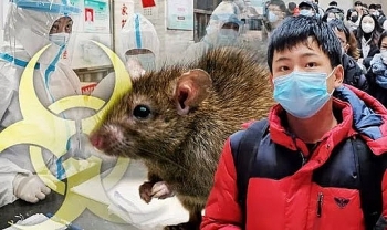 Trung Quốc liên tiếp cảnh báo các loại virus gây chết người
