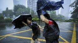 sieu bao mangkhut quat nga hai cha con o hong kong