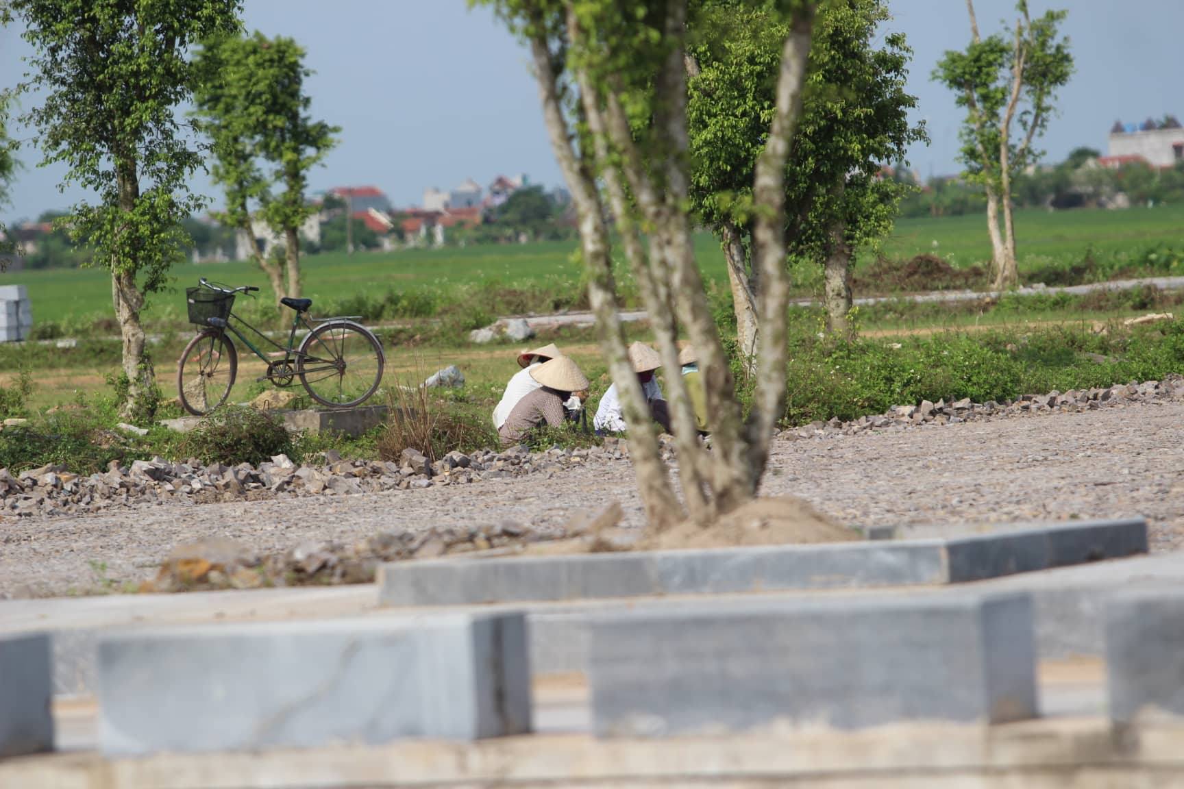 que nha ninh binh gap rut chuan bi le quoc tang chu tich nuoc