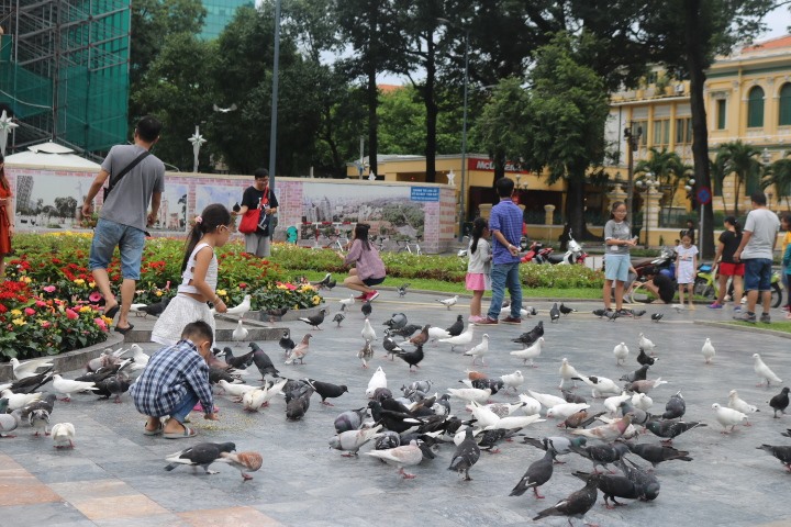 ngam duong pho ha noi tphcm yen a vang ve dip nghi le