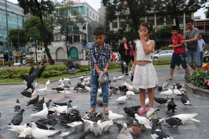 ngam duong pho ha noi tphcm yen a vang ve dip nghi le