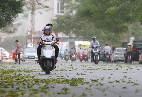 du bao thoi tiet 229 ha noi co gio mua dong bac