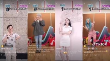 Nghệ sĩ nào sở hữu lượng người theo dõi cao nhất trên TikTok?