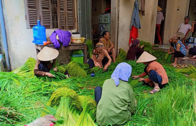 nhung ngay cuoi thu thuc qua nay duoc nguoi ha noi no nuc tim mua