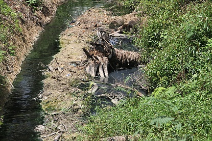 nhieu hs o binh dinh deo khau trang trong gio hoc vi hoi thoi