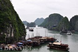 cau 7000 ty noi ha long hai phong vua thong xe da lun vong