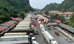 Hàng trăm container thanh long tắc ở cửa khẩu Tân Thanh