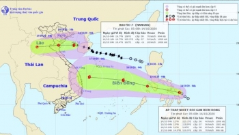 Bão số 7 giật cấp 11, đổ bộ Thái Bình đến Nghệ An