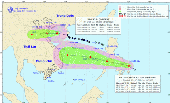 Sẵn sàng các phương án ứng phó khi bão số 7 vào bờ