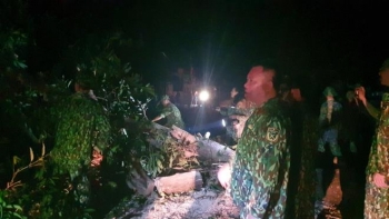 Sạt lở kinh hoàng ở Nam Trà My: Quân đội xuyên đêm cưa cây, mở đường