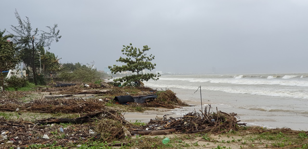 Đà Nẵng: Đường phố ngổn ngang, bờ biển tan hoang sau bão số 9 - Ảnh 11
