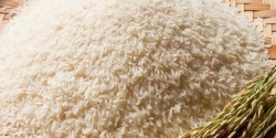 Ngoài ST25, Việt Nam còn loại gạo nào ngon nức tiếng?