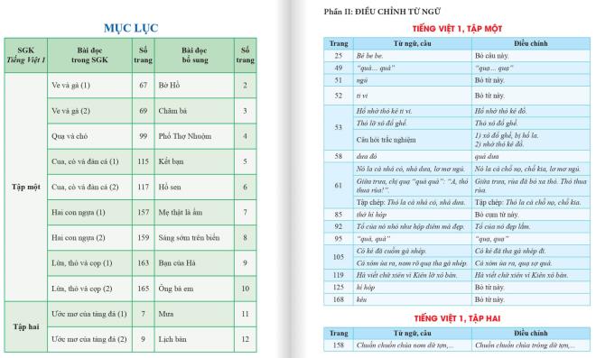 SGK Tiếng Việt 1 - bộ sách Cánh Diều có thể được điều chỉnh thế nào? - 1