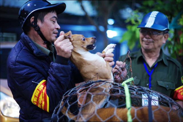 tran tro cua nguoi san cho tha rong chuyen nghiep tai ha noi