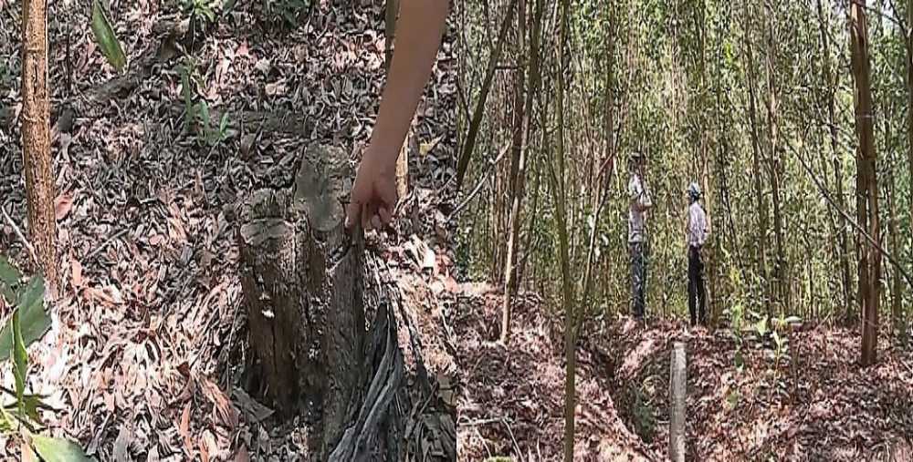 vi sao dan keo den ky hop hdnd tinh thua thien hue doi xu ly can bo tieu cuc